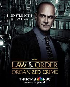 法律与秩序：组织犯罪 第四季 1