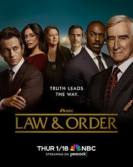 法律与秩序 第二十三季 第4集