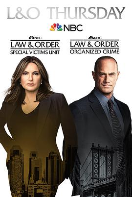 法律与秩序：组织犯罪第二季 第04集