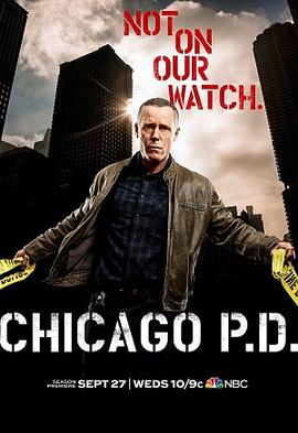 芝加哥警署第五季 第11集