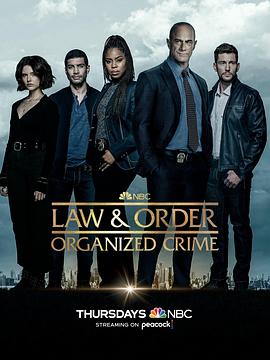 法律与秩序：组织犯罪 第三季 第01集